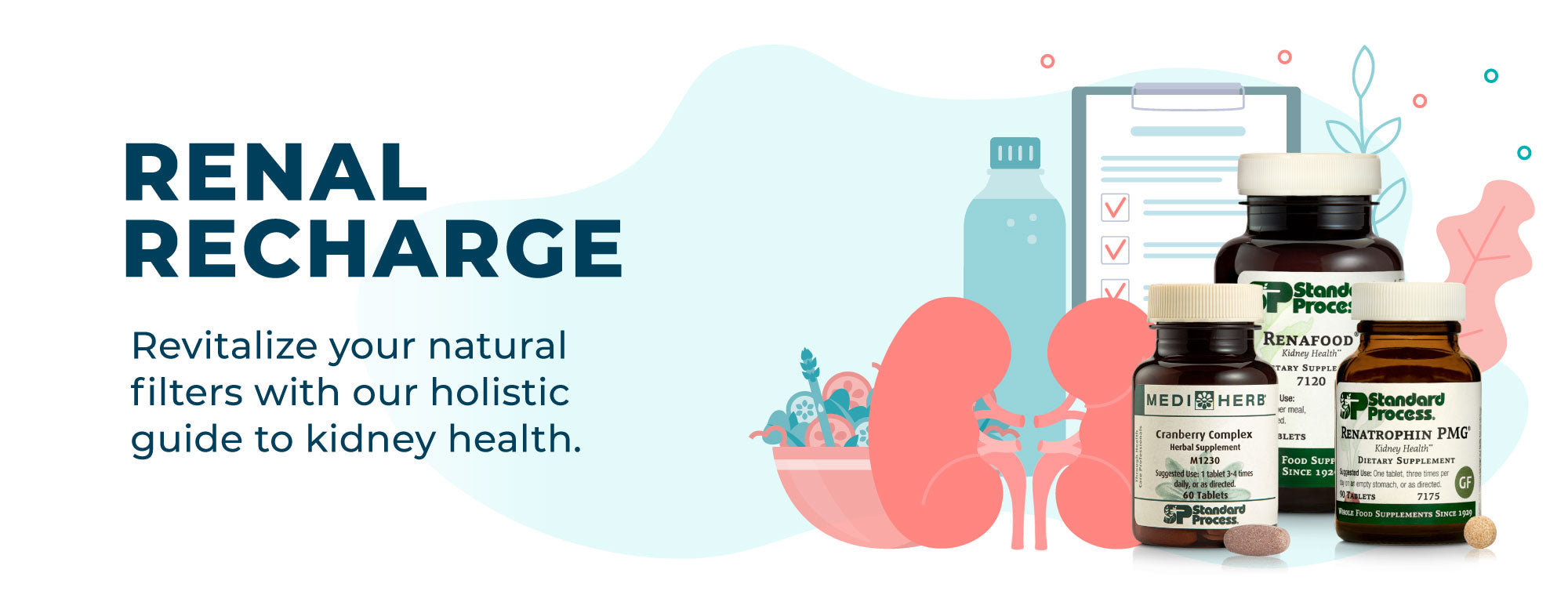 Renal Recharge - Revitalize your natural filters with our holistic kidney health guide
