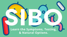 What is SIBO?