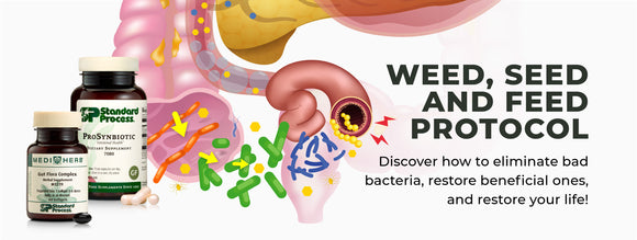 Weed, Feed and Seed Protocol by Mediherb and Standard Process