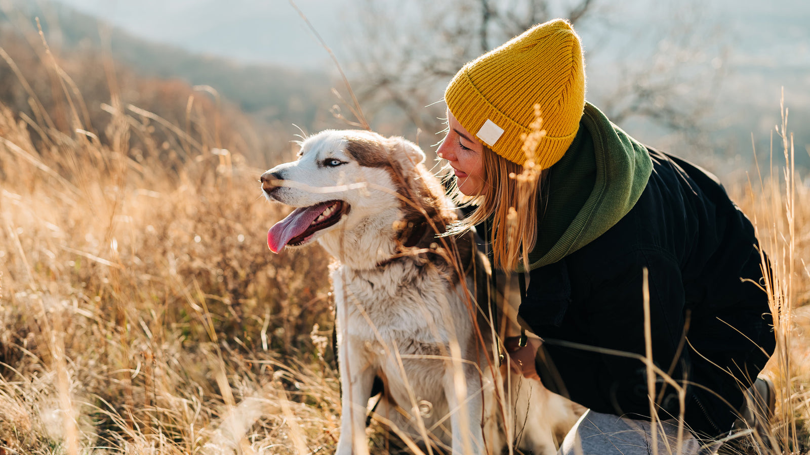 Standard Process Supplements for Pets